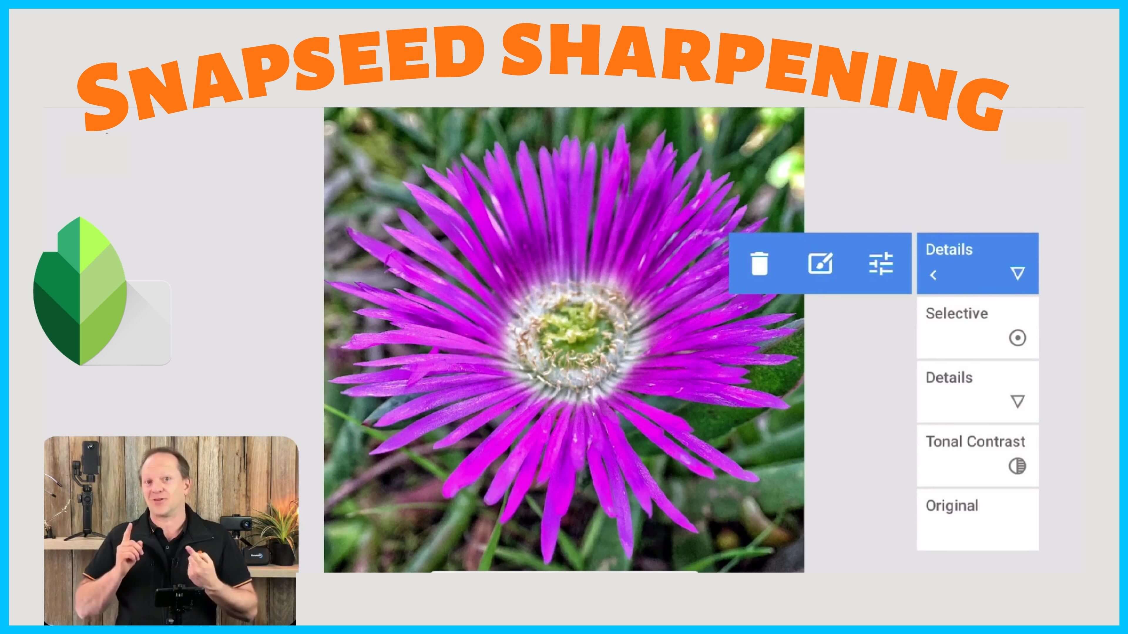 Smartphone Photography Training